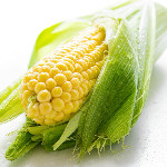 Corn: The Golden Grain of Summer