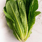 Lettuce: The Crisp, Crunchy Green Wonder of the Salad Bowl